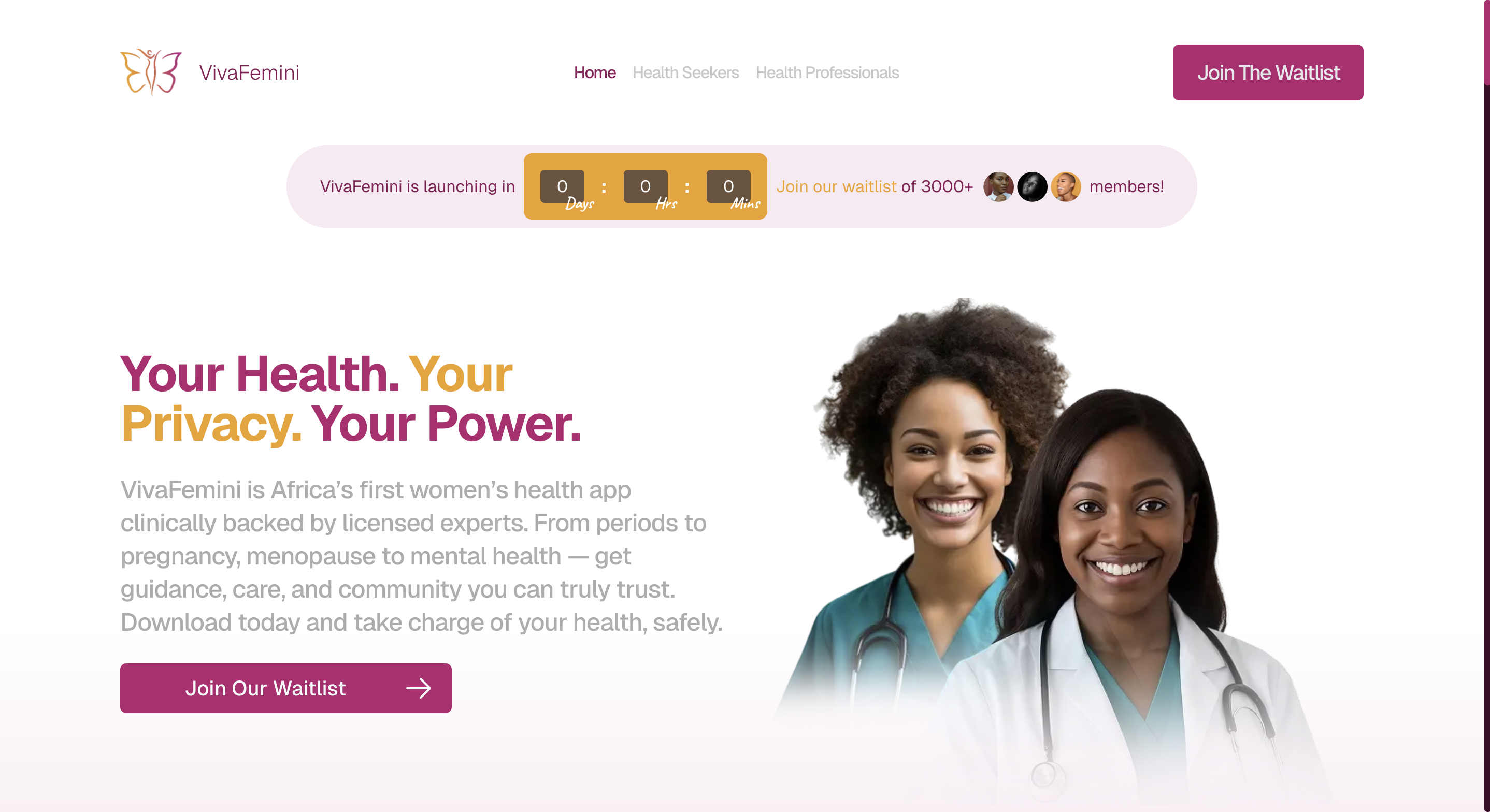 VivaFemini — African women's health platform